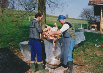 eika image